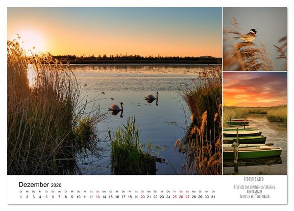 Produktbild: Schwabens Riede und Moore (Wandkalender 2026 DIN A2 quer), CALVENDO Monatskalender