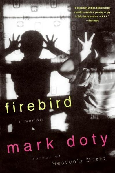 Produktbild: Firebird