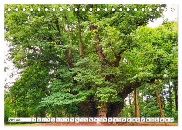 Produktbild: Samtgemeinde D&ouml;rpen im Emsland (Tischkalender 2026 DIN A5 quer), CALVENDO Monatskalender