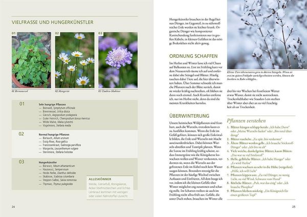 Produktbild: Wildkr&auml;uter in T&ouml;pfen & K&uuml;beln