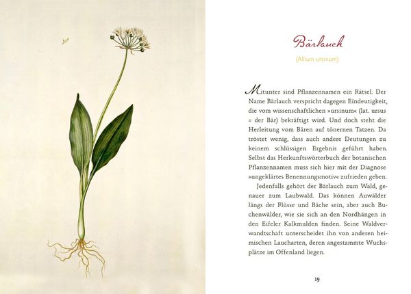 Produktbild: Eifeler Bl&uuml;ten-Lese