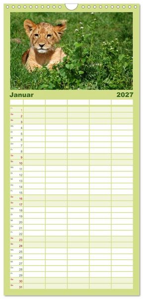 Produktbild: Familienplaner 2027 - Kleine Schelme - Tierbabys mit 5 Spalten (Wandkalender, 21 x 45 cm) CALVENDO