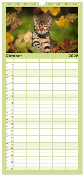 Produktbild: Familienplaner 2026 - Bengalen Outdoor und Action mit 5 Spalten (Wandkalender, 21 x 45 cm) CALVENDO