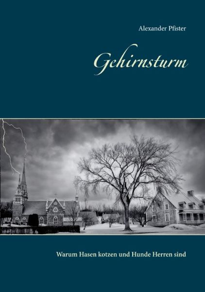 Gehirnsturm