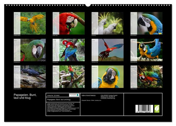 Produktbild: Papageien. Bunt, laut und klug (hochwertiger Premium Wandkalender 2026 DIN A2 quer), Kunstdruck in Hochglanz