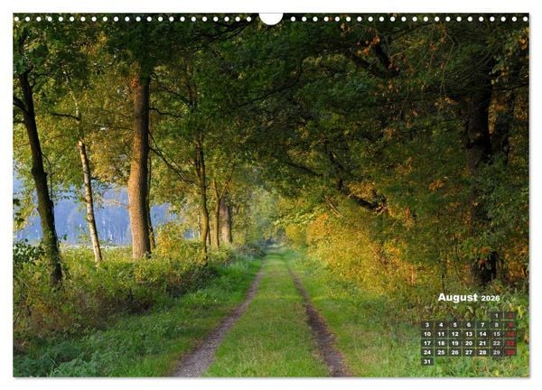 Produktbild: Die Dingdener Heide im Wandel der Jahreszeiten (Wandkalender 2026 DIN A3 quer), CALVENDO Monatskalender