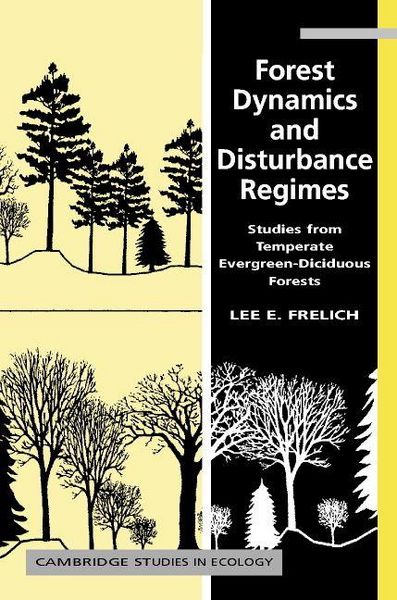 Produktbild: Forest Dynamics and Disturbance Regimes