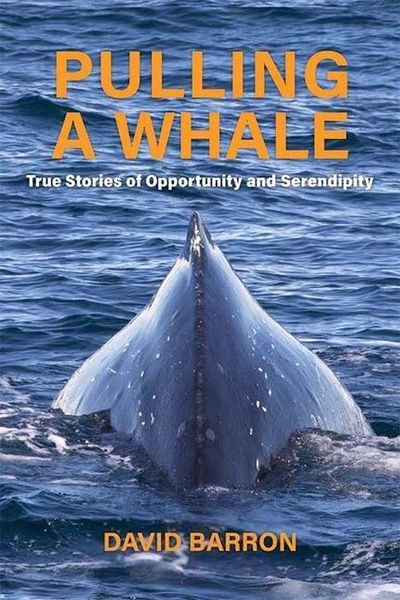 Produktbild: Pulling a Whale: True Stories of Opportunity and Serendipity