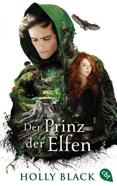 Der Prinz der Elfen, Taschenbuch von Holly Black, Cbt