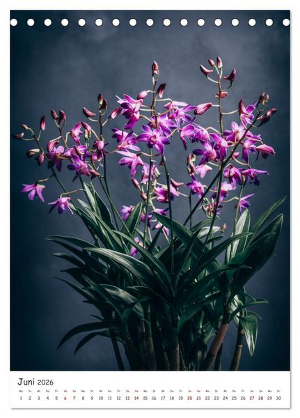Produktbild: Orchideen Zauber (Tischkalender 2026 DIN A5 hoch), CALVENDO Monatskalender