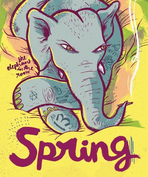 Produktbild: SPRING #13: The Elephant In The Room