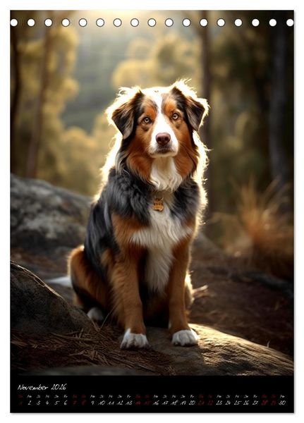 Produktbild: Australian Shepherd (Tischkalender 2026 DIN A5 hoch), CALVENDO Monatskalender