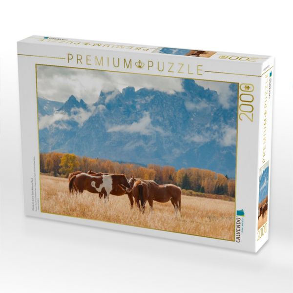 Produktbild: Pferde im Grand Teton National Park (Puzzle)