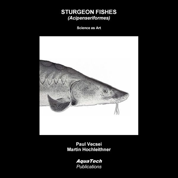 Produktbild: Sturgeon Fishes (Acipenseriformes)