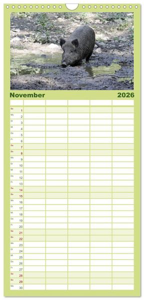 Produktbild: Familienplaner 2026 - Schweinkram - Die Wildschweine sind los mit 5 Spalten (Wandkalender, 21 x 45 cm) CALVENDO