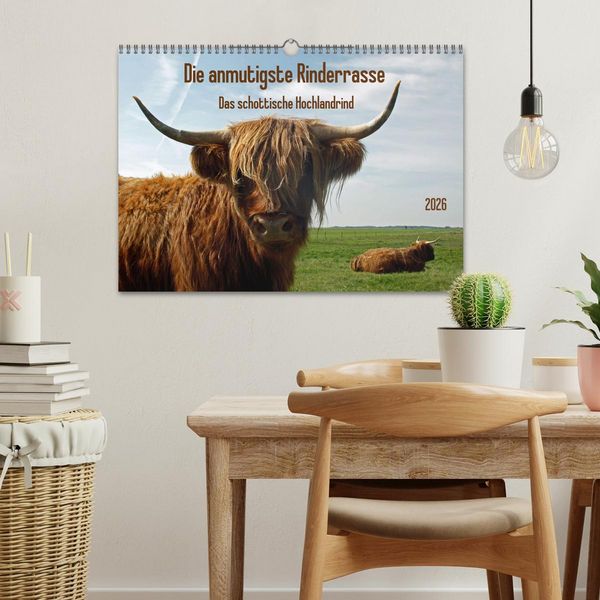 Produktbild: Die anmutigste Rinderrasse - Das schottische Hochlandrind (Wandkalender 2026 DIN A3 quer), CALVENDO Monatskalender