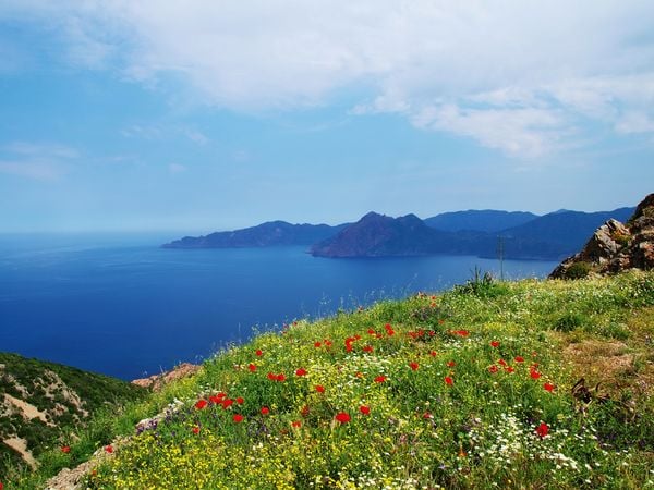 Produktbild: CALVENDO Puzzle Fr&uuml;hling im Golf von Porto - Korsika | 1000 Teile Lege-Gr&ouml;&szlig;e 64x48cm Foto-Puzzle f&uuml;r gl&uuml;ckliche Stunden