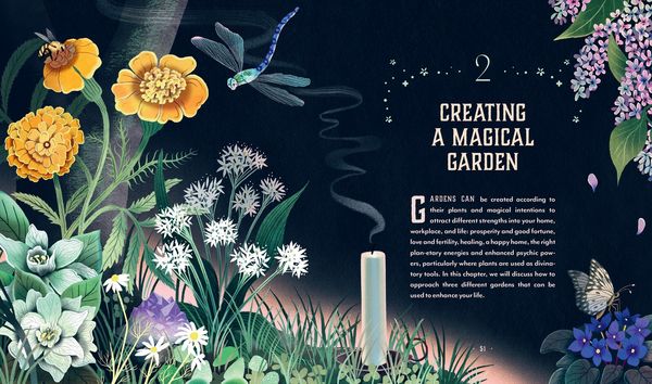 Produktbild: Plant Magic