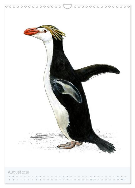 Produktbild: Pinguine - 13 Illustrationen (Wandkalender 2026 DIN A3 hoch), CALVENDO Monatskalender