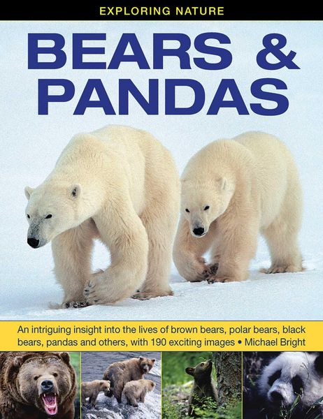 Produktbild: Exploring Nature: Bears & Pandas