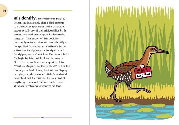 Produktbild: The Birding Dictionary
