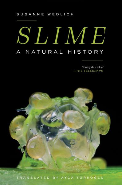 Produktbild: Slime