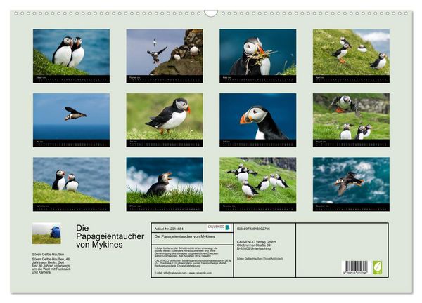 Produktbild: Die Papageientaucher von Mykines (Wandkalender 2026 DIN A2 quer), CALVENDO Monatskalender