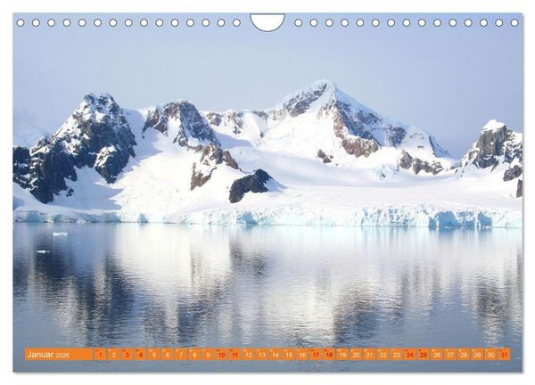 Produktbild: Arktis und Antarktis - Eisig durch das Jahr (Wandkalender 2026 DIN A4 quer), CALVENDO Monatskalender