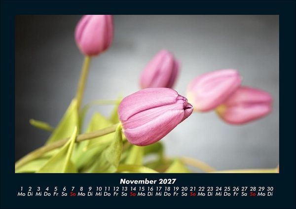 Produktbild: Blumentr&auml;ume 2027 Fotokalender DIN A4