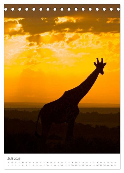 Produktbild: Giraffen - Die Grazien in Afrikas Savannen (Tischkalender 2026 DIN A5 hoch), CALVENDO Monatskalender