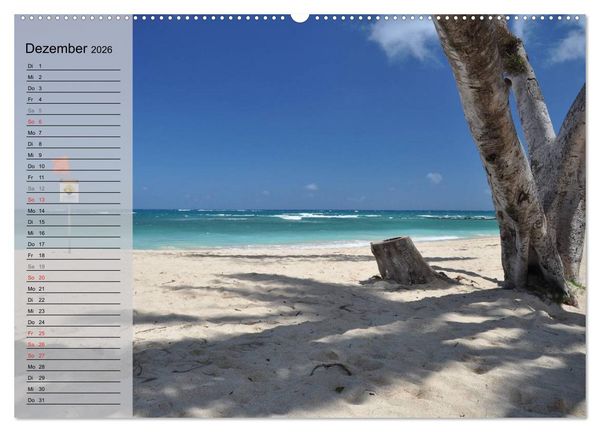 Produktbild: Land of Aloha - Hawaii Monatsplaner (Wandkalender 2026 DIN A2 quer), CALVENDO Monatskalender