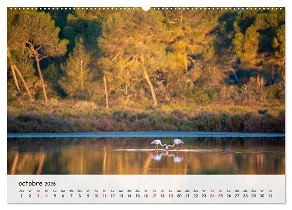 Produktbild: Majorque - Une &icirc;le &agrave; couper le souffle en M&eacute;diterran&eacute;e (Calendrier mural 2026 DIN A2 vertical) calendrier de bureau