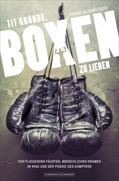 Produktbild: 111 Gr&uuml;nde, Boxen zu lieben