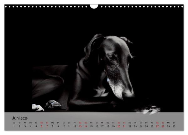 Produktbild: Black is beautiful (Wandkalender 2026 DIN A3 quer), CALVENDO Monatskalender