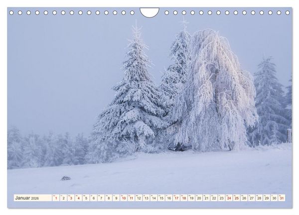 Produktbild: Im Zauber der W&auml;lder (Wandkalender 2026 DIN A4 quer), CALVENDO Monatskalender