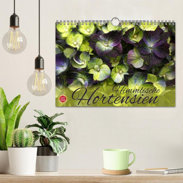 Produktbild: Himmlische Hortensien (Wandkalender 2026 DIN A4 quer), CALVENDO Monatskalender