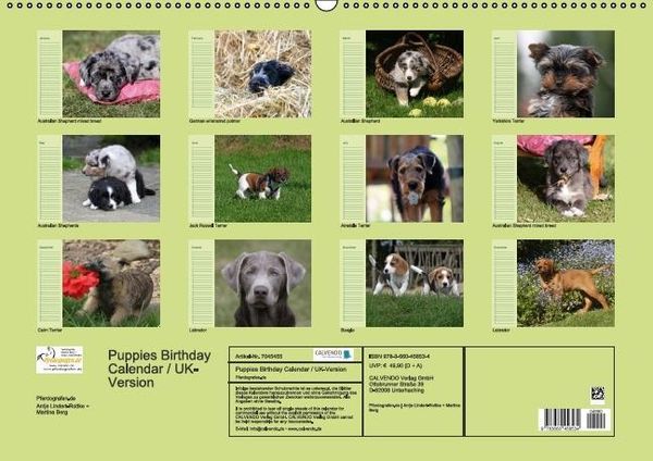 Produktbild: Puppies Birthday Calendar / UK-Version (Wall Calendar perpetual DIN A2 Landscape)