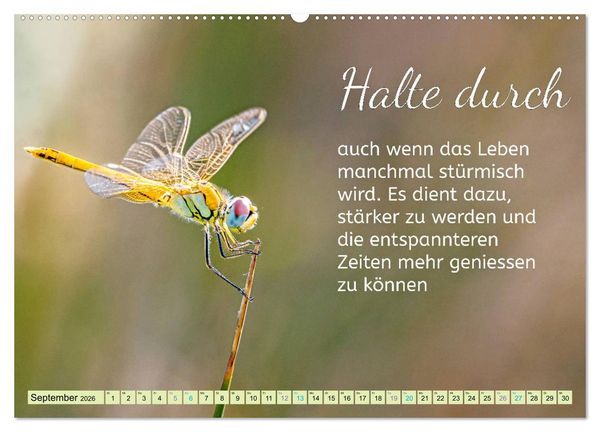 Produktbild: Der Spruchkalender - Inspirationen (hochwertiger Premium Wandkalender 2026 DIN A2 quer), Kunstdruck in Hochglanz