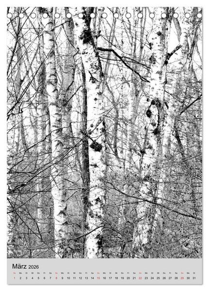 Produktbild: Natur monochrom Die besondere Wirkung (Tischkalender 2026 DIN A5 hoch), CALVENDO Monatskalender