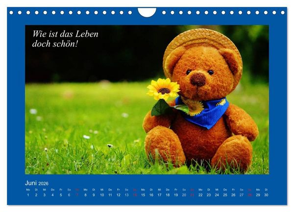 Produktbild: Sommer im Teddy-Land. B&auml;r und Freunde (Wandkalender 2026 DIN A4 quer), CALVENDO Monatskalender