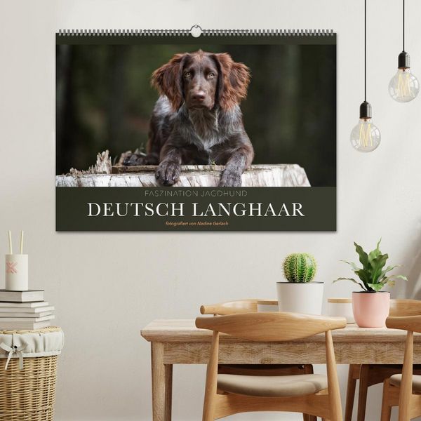 Produktbild: Faszination Jagdhund - Deutsch Langhaar (Wandkalender 2026 DIN A2 quer), CALVENDO Monatskalender