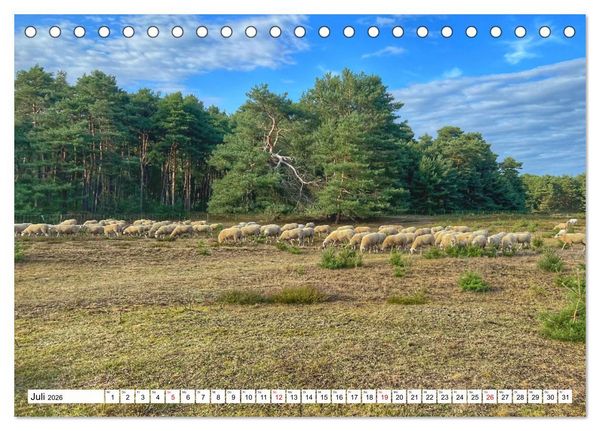 Produktbild: Lingen Ems (Tischkalender 2026 DIN A5 quer), CALVENDO Monatskalender