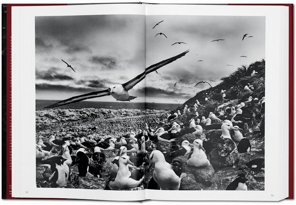 Produktbild: Sebasti&atilde;o Salgado. GENESIS