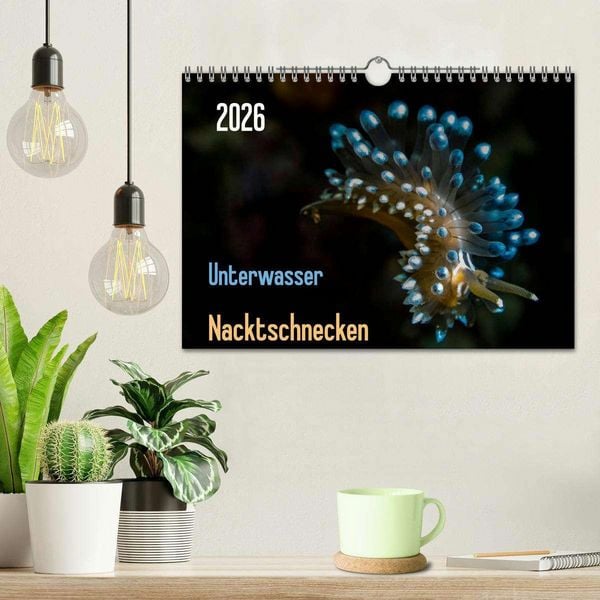 Produktbild: Unterwasser - Nacktschnecken 2026 (Wandkalender 2026 DIN A4 quer), CALVENDO Monatskalender