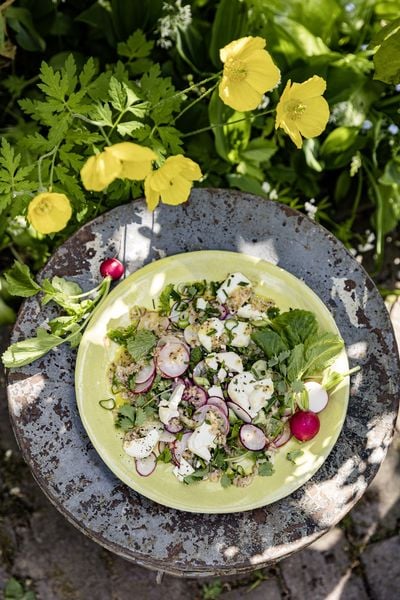 Produktbild: Meine gr&uuml;ne franz&ouml;sische Bistro-K&uuml;che