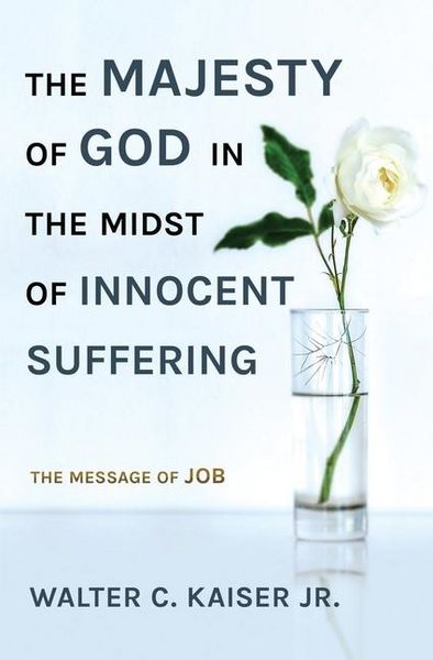 Produktbild: The Majesty of God in the Midst of Innocent Suffering