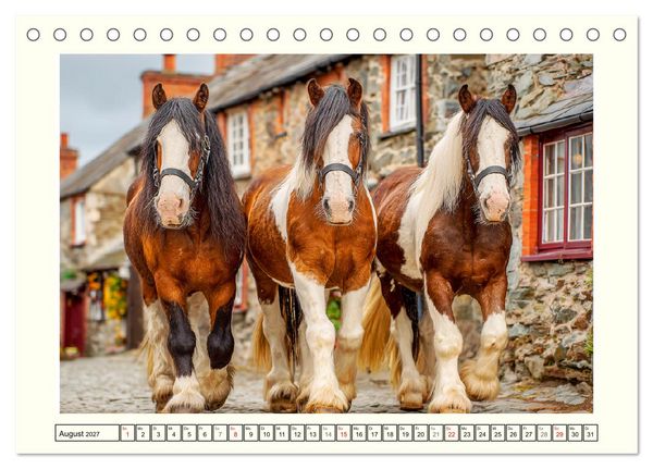 Produktbild: Irlands Pferde. Irish Tinker zwischen Weiden, Wasser und Wald (Tischkalender 2027 DIN A5 quer), CALVENDO Monatskalender