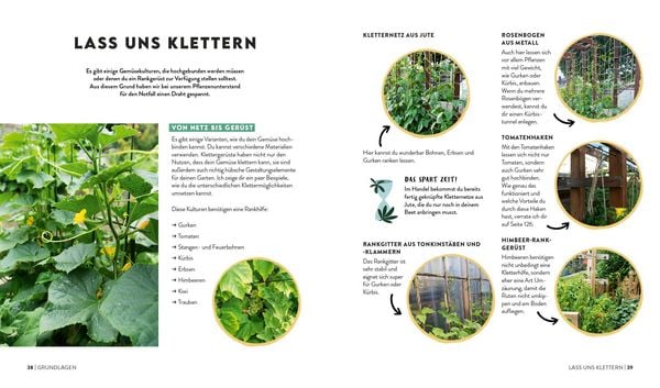 Produktbild: Keine Zeit zu g&auml;rtnern &ndash;&nbsp;Gem&uuml;se l&auml;nger ernten in Gew&auml;chshaus, Fr&uuml;hbeet & Co.