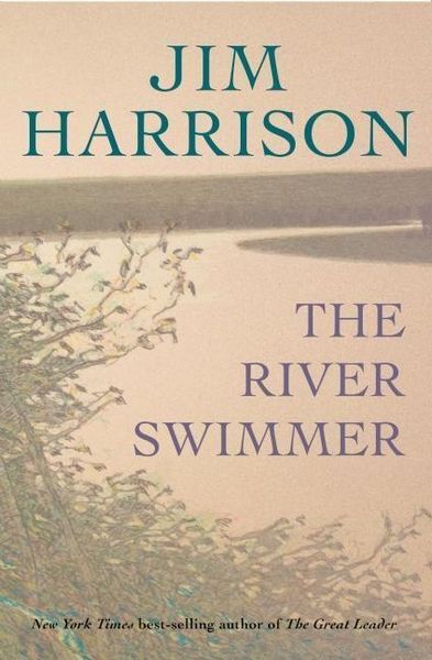 Produktbild: The River Swimmer