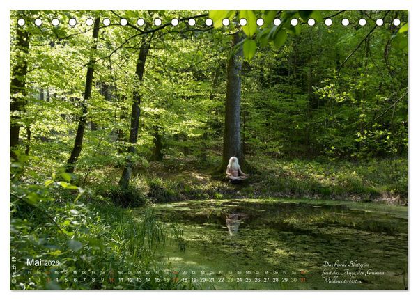 Produktbild: HAIKU AM TEICH (Tischkalender 2026 DIN A5 quer), CALVENDO Monatskalender